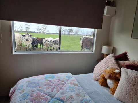 Farmstay@Morgans - Darwin Holiday 3