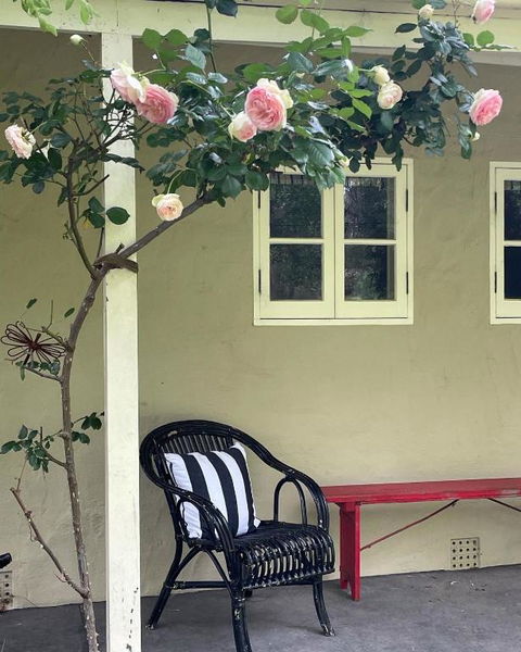Fleetwood Cottage Bed And Breakfast - Darwin Holiday 0