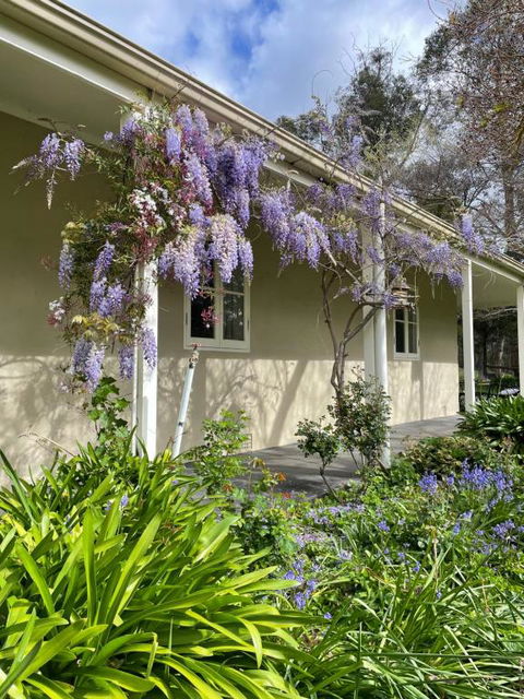 Fleetwood Cottage Bed And Breakfast - Darwin Holiday 4