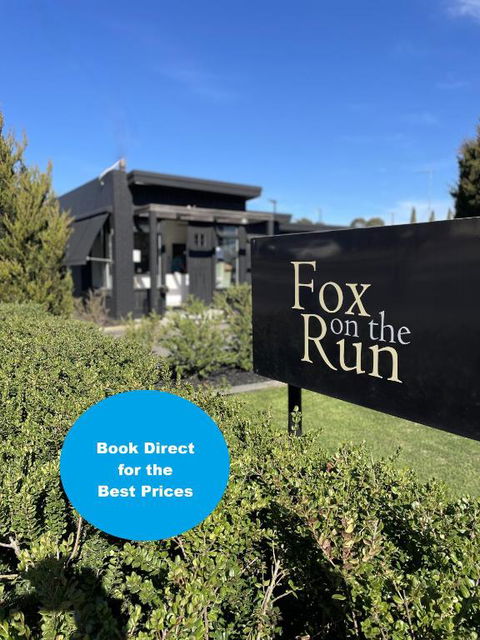 Fox On The Run - Motel Kilmore - Darwin Holiday 1