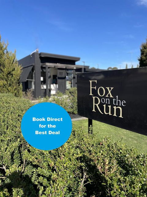 Fox On The Run - Motel Kilmore - Darwin Holiday 0