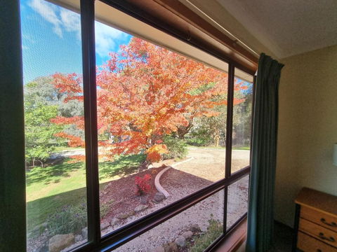 Golden Heritage Apartments Beechworth - Darwin Holiday 4