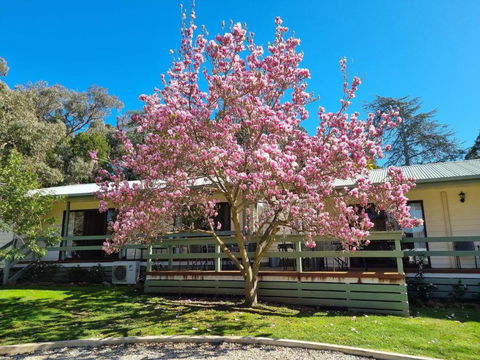 Golden Heritage Apartments Beechworth - Darwin Holiday 1