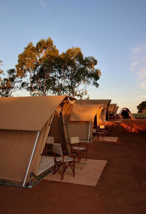 Glamping At Buckland Estate - Darwin Holiday 1