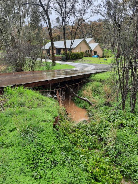 Frogmouth Hollow - Darwin Holiday 4