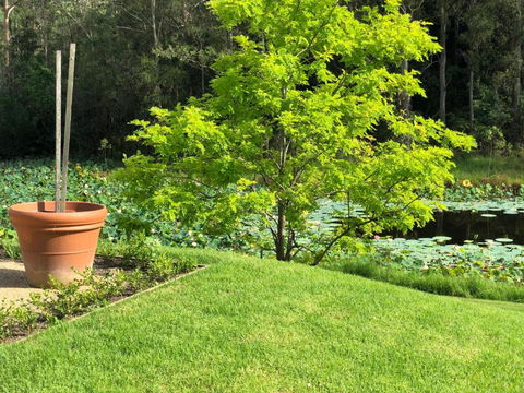 Garden Hill Sandstone Villas: Shoalhaven NSW Australia - Darwin Holiday 2