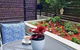 Garden View Of Macquarie Park Paradise - thumb 1