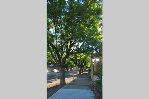 Gawler Heritage Accommodation - Darwin Holiday 1