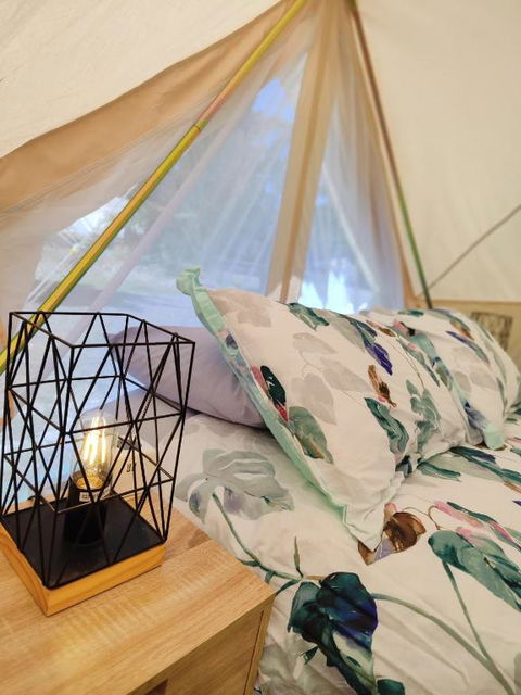 Glamping At Zeehan Bush Camp - Darwin Holiday 3