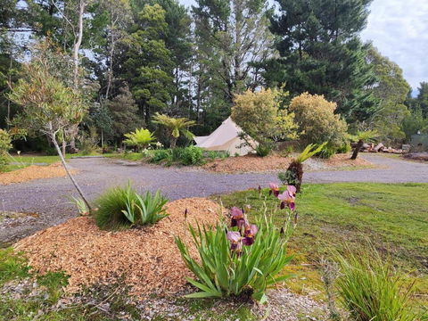 Glamping At Zeehan Bush Camp - Darwin Holiday 1