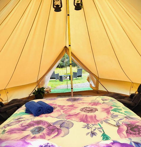 Glamping At Zeehan Bush Camp - Darwin Holiday 0