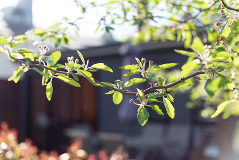 Gorgeous On Gleadow: The Twin - Darwin Holiday 4