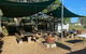Gundy Pub & Caravan Park - thumb 4