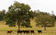 Hampson Farm Stay Hill Top By Tiny Away - thumb 3