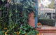 Harvest Home Avenel - thumb 2