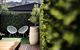 Hobart Avenue Apartments The Nook - thumb 3