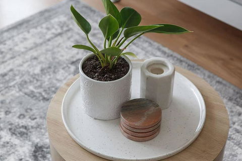Heart Of Ormond Apartment By Ready Set Host - Darwin Holiday 1