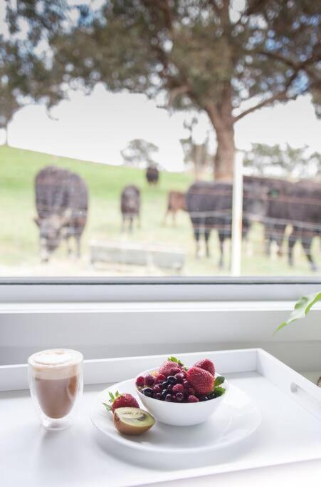 Hickey Vale Farm Lodge Pet Friendly - Darwin Holiday 2