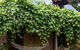 Hideaway Cottage - Secluded Retreat - Pet Friendly - thumb 3