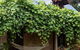 Hideaway Cottage - Secluded Retreat - Pet Friendly - thumb 2