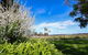 Hideaway Homestead - thumb 1