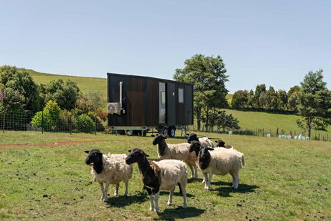 Hillside Hideout By Tiny Away - Darwin Holiday 2