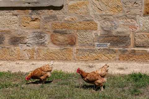 Historic Sandstone Ross Farmhouse - Darwin Holiday 2
