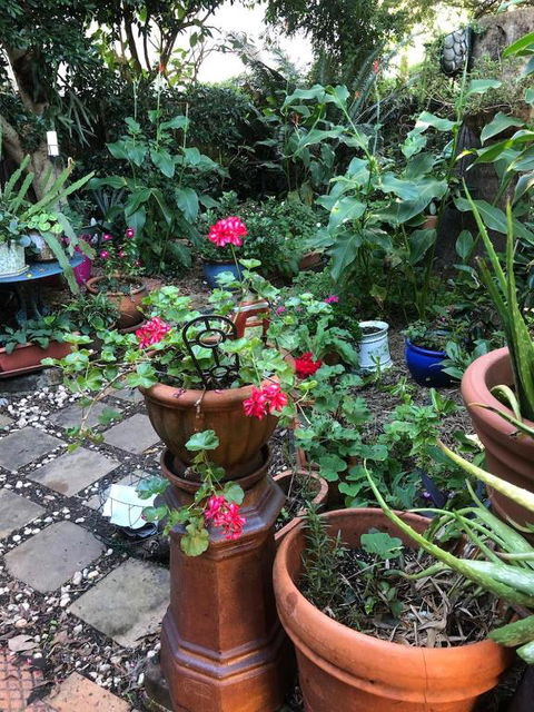 Historic Secluded Garden Cottage - Darwin Holiday 2