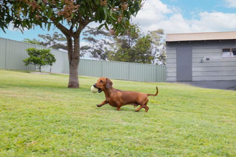 Illaroo House 16 Verona Rd - Pet Friendly, Boat Parking, Wi-Fi - Darwin Holiday 2