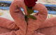 Home Sweet Home - thumb 1