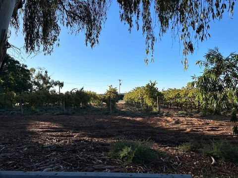 House By The Vines - Darwin Holiday 0