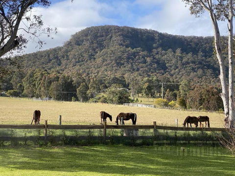 Hunter Valley Luxury Farm Stay With Stunning Mountain Vistas - Darwin Holiday 3