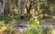 Inji Homestead - 5 Acre Holiday Home In Margaret River Region - thumb 1