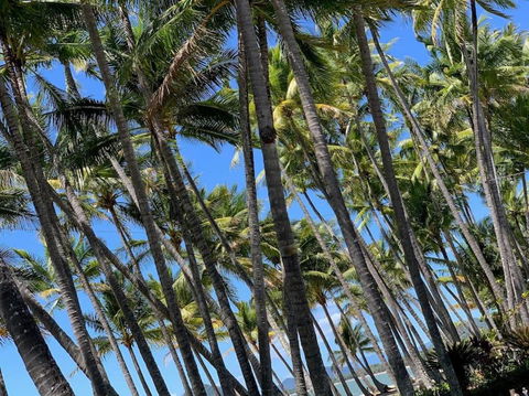 IMPORTANT MESSAGE This Property Is Not Currently Available For Holiday Letting - Darwin Holiday 1