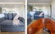 Ishtar Apartment 1- Luxury Living Accommodation - thumb 3