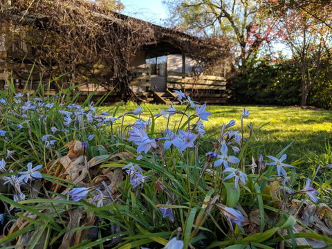 Alexander Cottage - Darwin Holiday 3