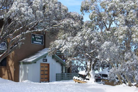 Alpine Retreat Mt Buller - Darwin Holiday 0