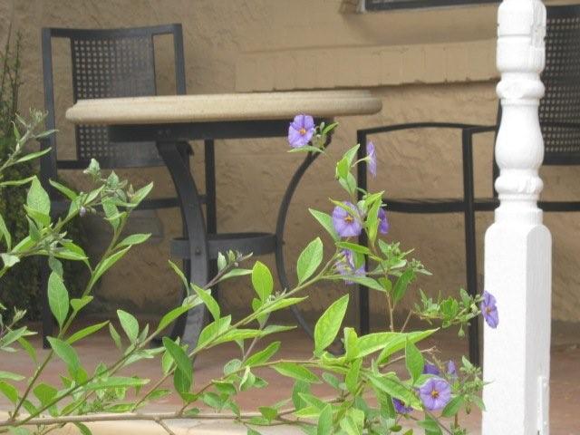 Kringin SA Darwin Holiday