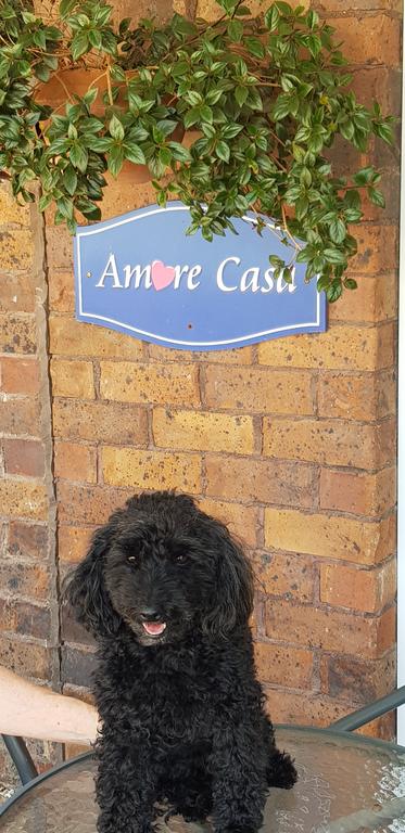 Amore Casa Tenterfield - Darwin Holiday 2