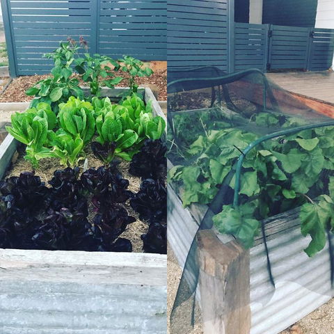 AMs Farm Stay - Darwin Holiday 3
