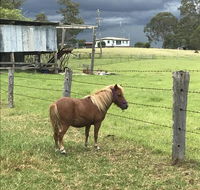 AMs Farm Stay - Darwin Holiday