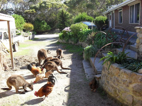 Anchorage Apartments - Darwin Holiday 0