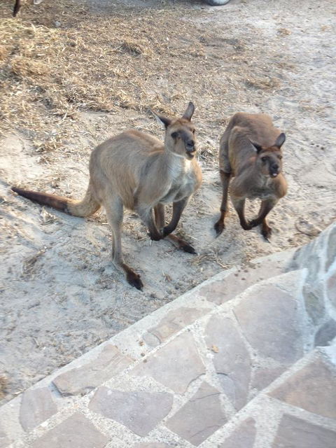 Anchorage Apartments - Darwin Holiday 1