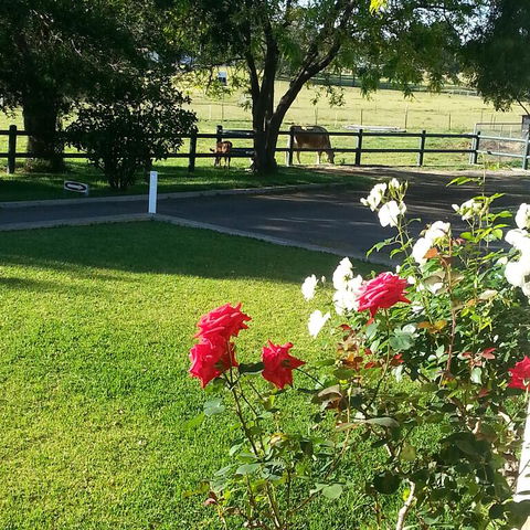 Appin Homestay B & B - Darwin Holiday 3