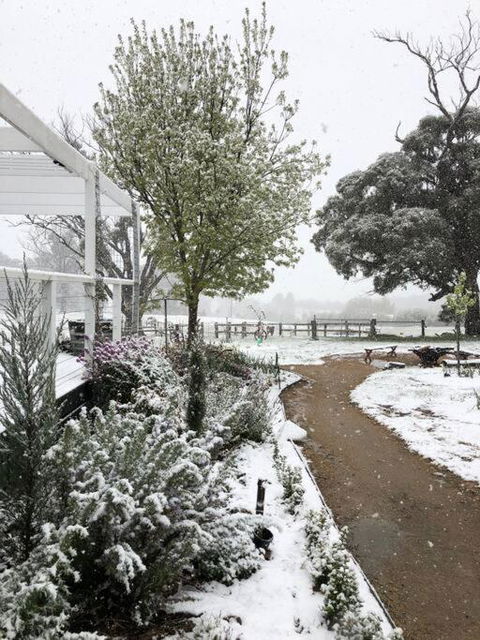Luxury Accomodation, Farm Stay, Stunning Views Near Daylesford - Darwin Holiday 1