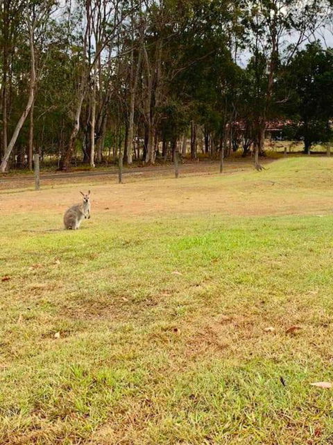 Luxury And Cosy Family Retreat - Darwin Holiday 2