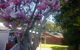 Magnolia Cottage - thumb 0