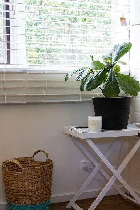 Maldon Cosy Garden Cottage - Charming One Room Studio - Darwin Holiday 3