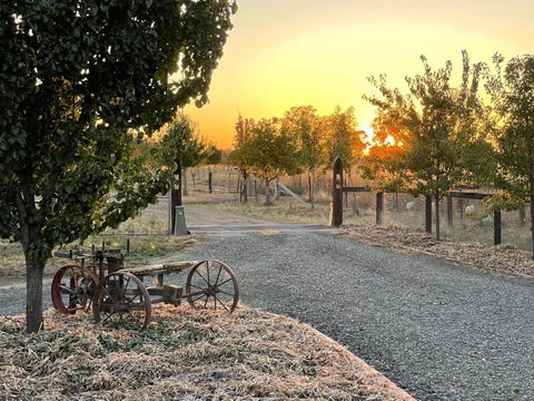 Maple Lane Farm Stay - Darwin Holiday 0
