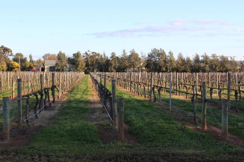 Milawa Vineyard Views - Guesthouse 1 - Darwin Holiday 2